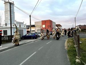 IMG 5905