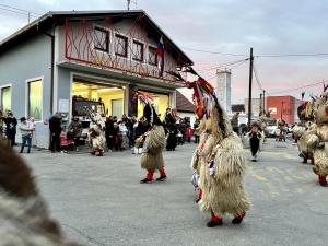 IMG 5923