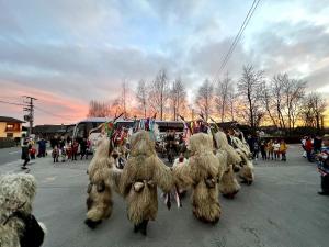IMG 5958